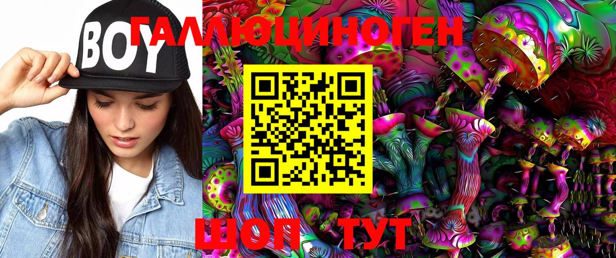 Саяногорск  Галлюциногенные грибы Psilocybe  Вход с VPN 