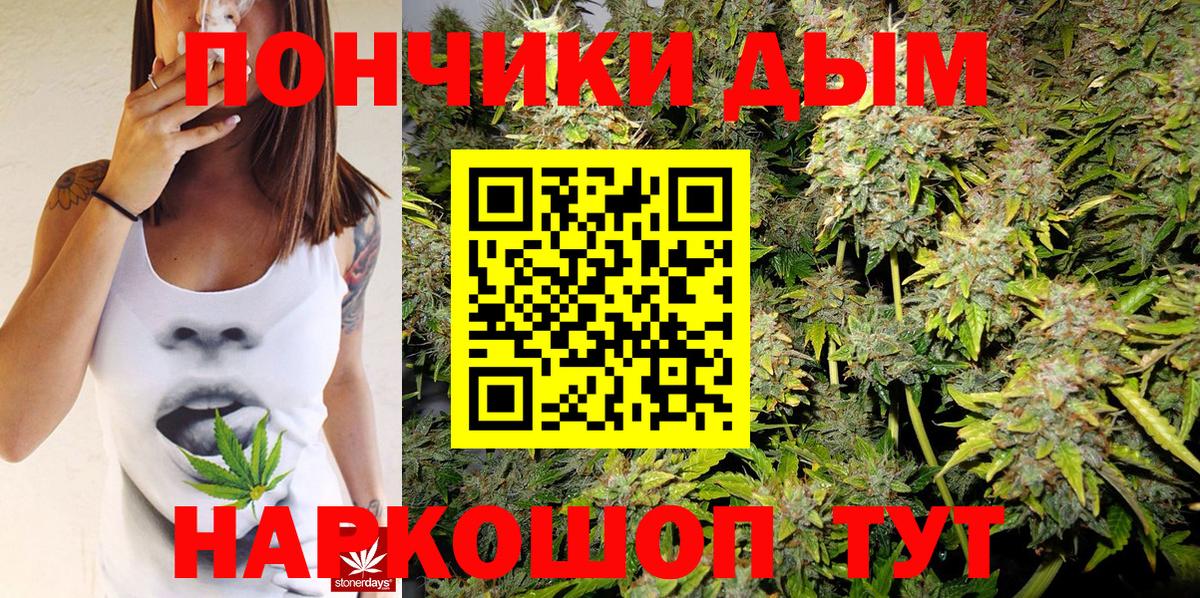 Марихуана тримм  Вход с VPN  Бошки марихуана конопля  Саяногорск  Каннабис сатива 